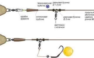 Оснастки для ловли карпа, разновидности монтажей и основные элементы