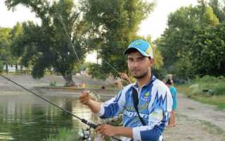 Снасти для ловли окуня на спиннинг