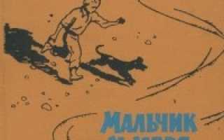 Мальчик у моря впечатление