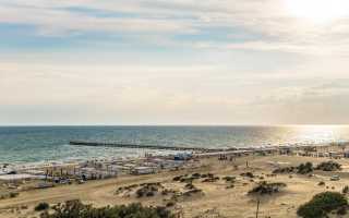 Витязь поселок черное море