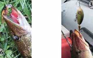 Воблер Jaxon Attak