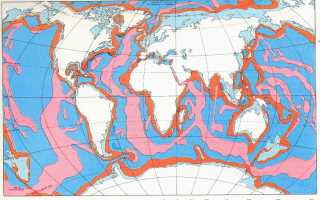 Каковы особенности рельефа дна океана коротко