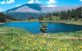 Отличие реки озера моря океана