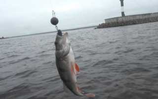 Лучшие спиннинги 2019 года