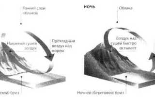 Муссон летом дует с моря