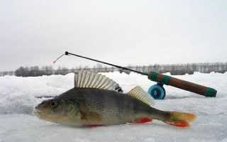 Ловля карася летом на мормышку