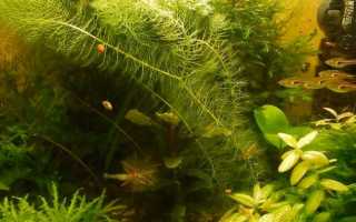 8 признаков, что вашу воду из-под крана пить просто опасно