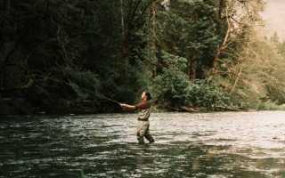 Река Шуя в Карелии – где находится, куда впадает, пороги