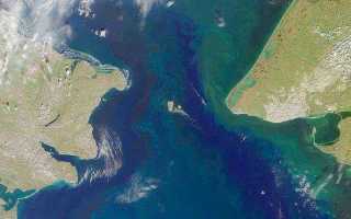 Заливы россии берингово моря