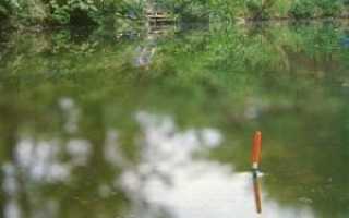 Ловля карася на поплавочную удочку в сентябре