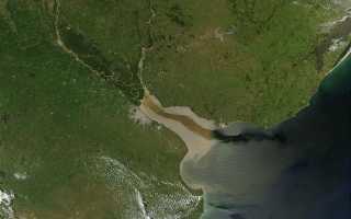 Эстуарий это река или море