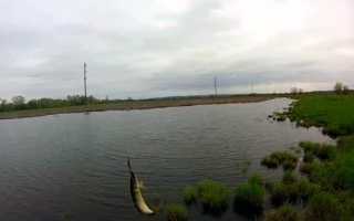 Открываем новый рыболовный сезон: ловля щуки в марте