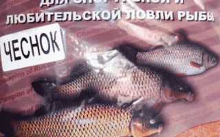 Когда начинает клевать карп весной и как его ловить