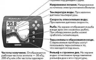 Эхолот для зимней рыбалки: принцип работы и критерии выбора