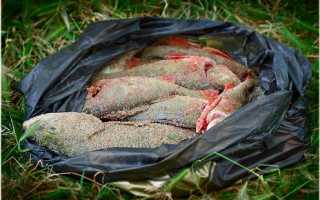 Как закоптить рыбу в домашних условиях