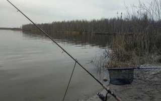 Как поймать большую рыбу