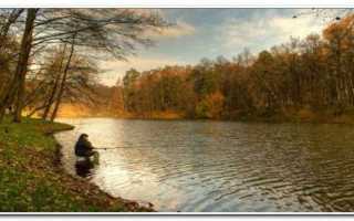 Ловля карпа осенью