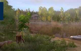 Рыба «Синец» фото и описание