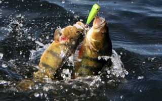 Рыболовная база в Камызякском районе