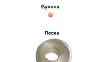 Секреты ловли окуня на живца