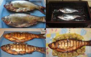 Холодное и горячее копчение толстолобика