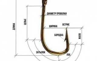 Какие крючки лучше выбрать для ловли карпа