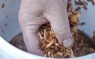 Как закоптить стерлядь