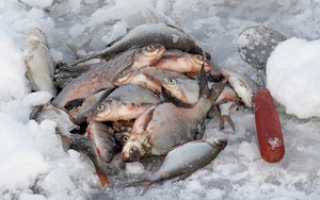 Ловля подлещика зимой