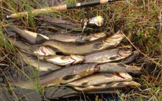 Рыбалка на Кольском полуострове