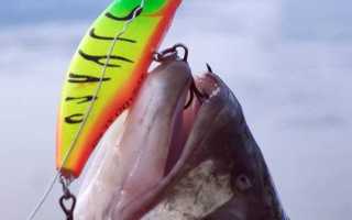 Что такое воблер суспендер