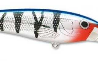 Rapala Shallow Tail Dancer