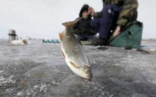 Рыбалка в Сургуте