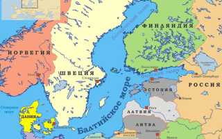 Растения балтийского моря море
