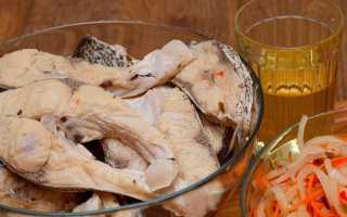 Как солить толстолобик