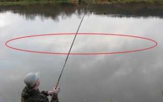 Ловля леща в октябре