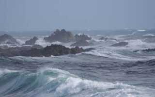 Формы рельефа дна атлантического океана