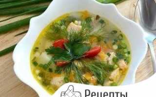 Отменная уха из головы щуки в домашних условиях — простой рецепт