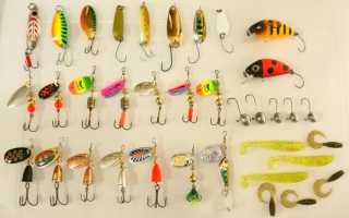 Как ловить рыбу на малых реках на спиннинг?