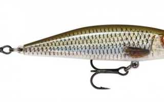 Rapala Clackin Crank