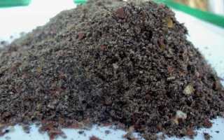 Чем прикармливать леща на зимней рыбалке?