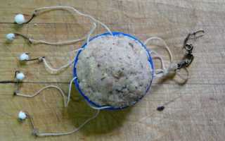 Ловля карася на соску