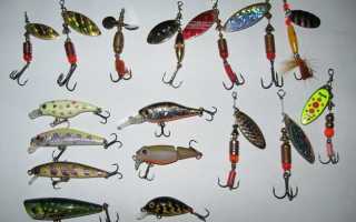 Зимний окунь на блесну