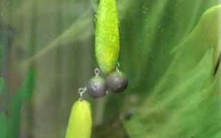 Поролоновые приманки, особенности материала, рейтинг лучших моделей