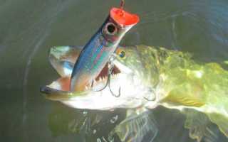 Rapala Ultra Light Pop 