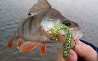 Все о твистерах для ловли щуки