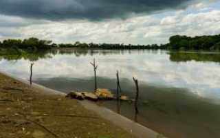 Река Кубань: описание. Исток, устье, растения и животные