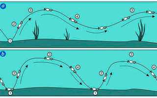 Отводной поводок: для зимней удочки (монтаж оснастки), для спиннинга, на окуня, судака, щуку