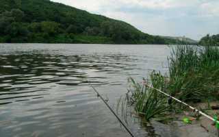 Рыбалка в Кузькино Белгородской области