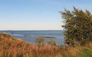 Отдых в Карелии дикарём на машине. Рыбалка в Карелии