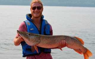 Как и на что ловить щуку осенью